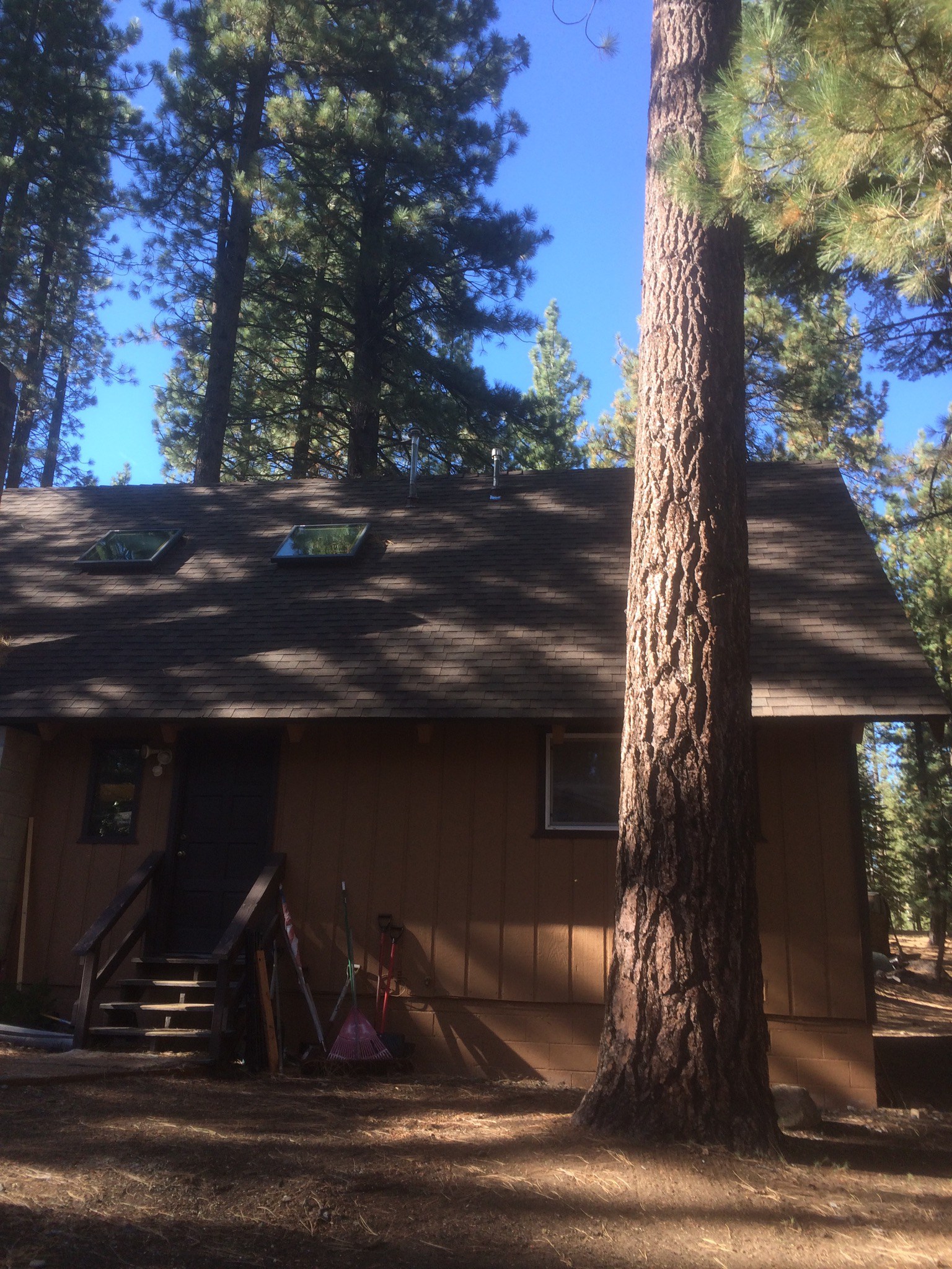 Stump Grinding Near Meeks Bay California